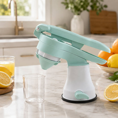 Juicer handle and press mechanism detail