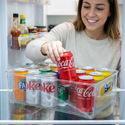 Storage box being used in fridge