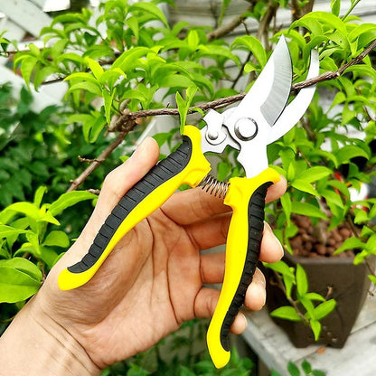 Close-up of stainless steel blades on pruning shears for precise cutting