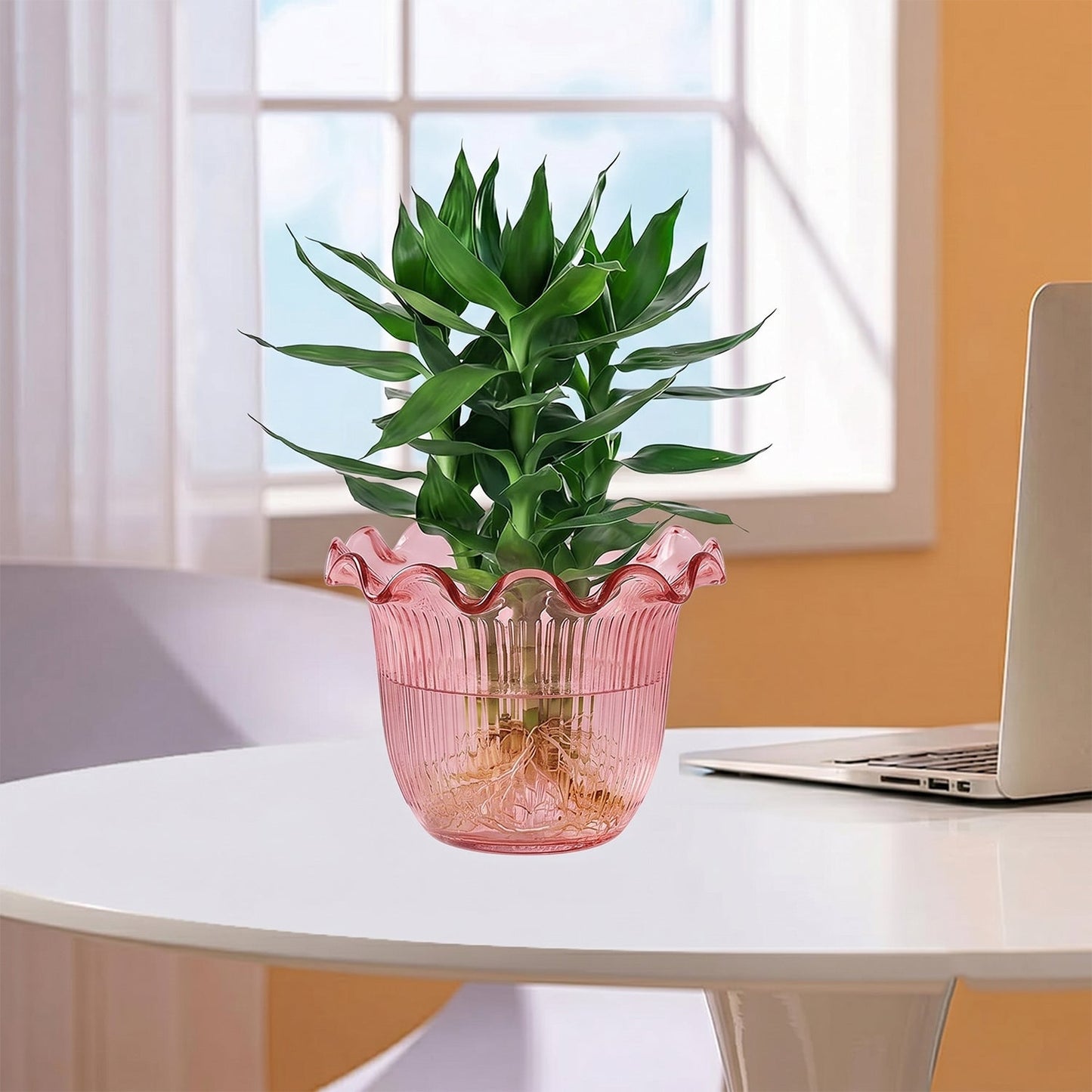 Decorative flower pot in a home decor setting