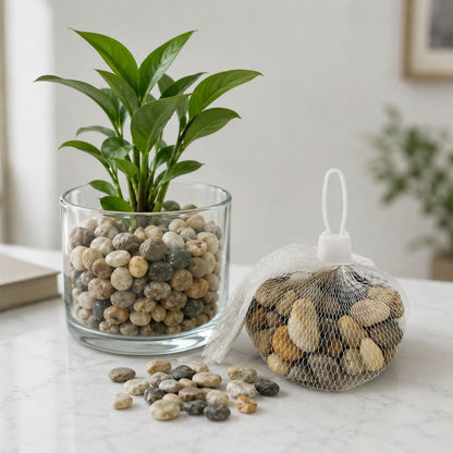 Set of natural river pebbles stones in various earthy tones for decoration