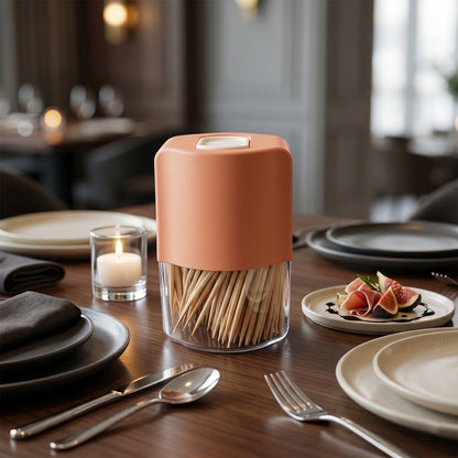 Elegant and durable toothpick storage container for daily use