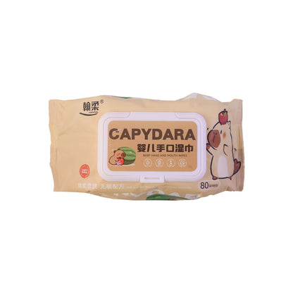Package of soft wet wipes with dimensions for portability