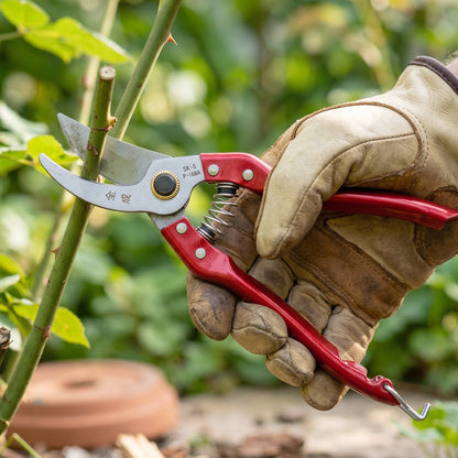 Pruning shears close-up blade detail
