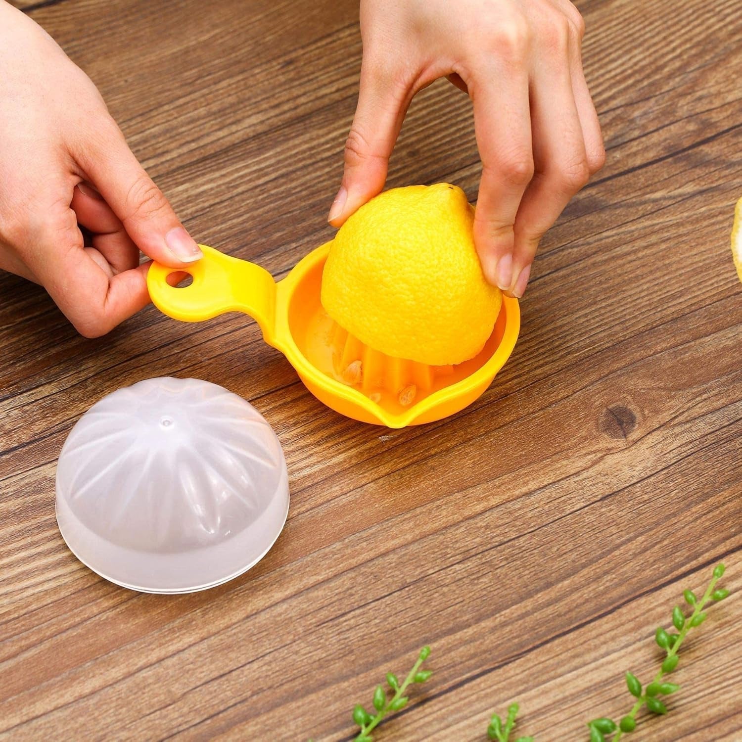 Lemon and orange squeezer manual designed for easy juice extraction