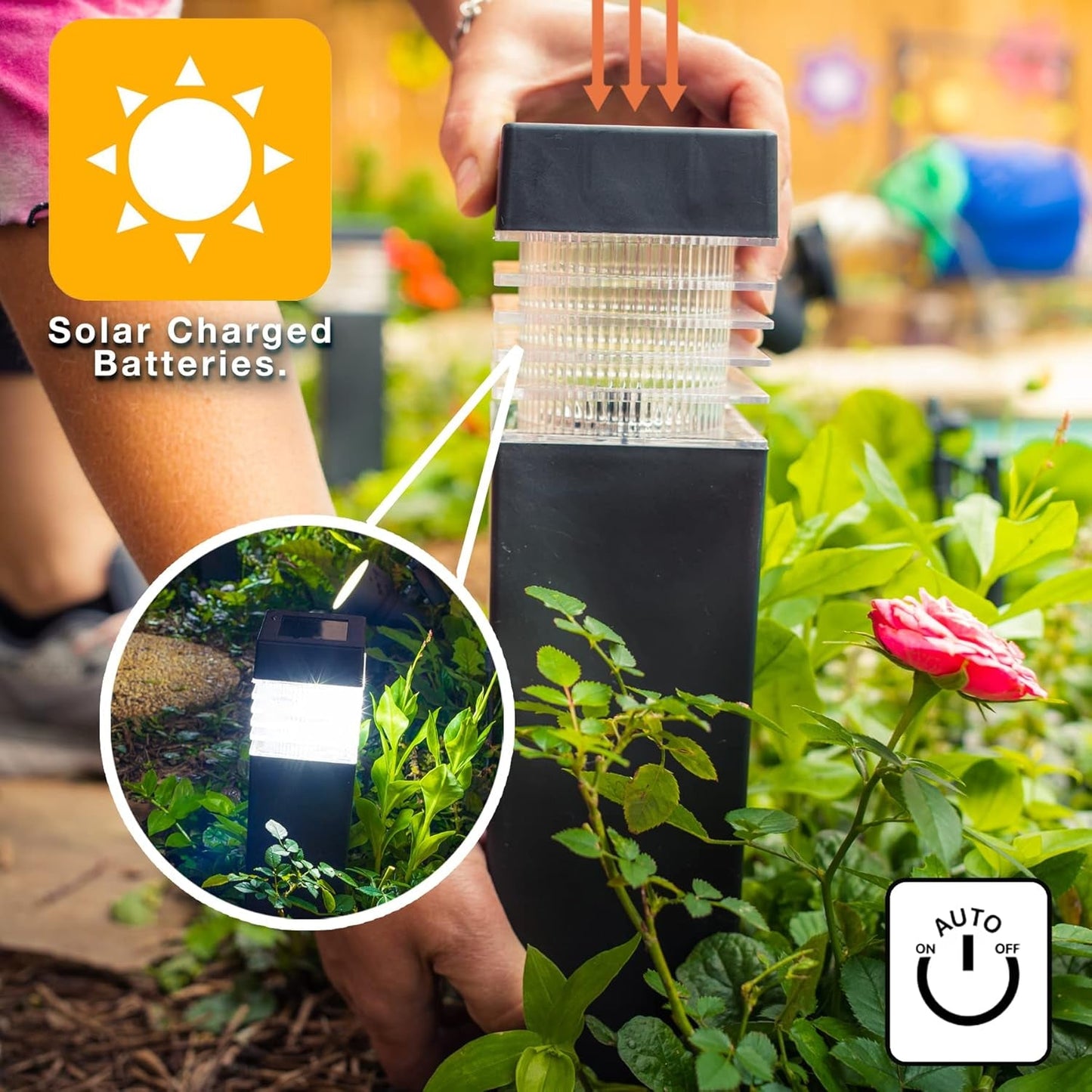 Decorative solar outdoor light for garden pathways
