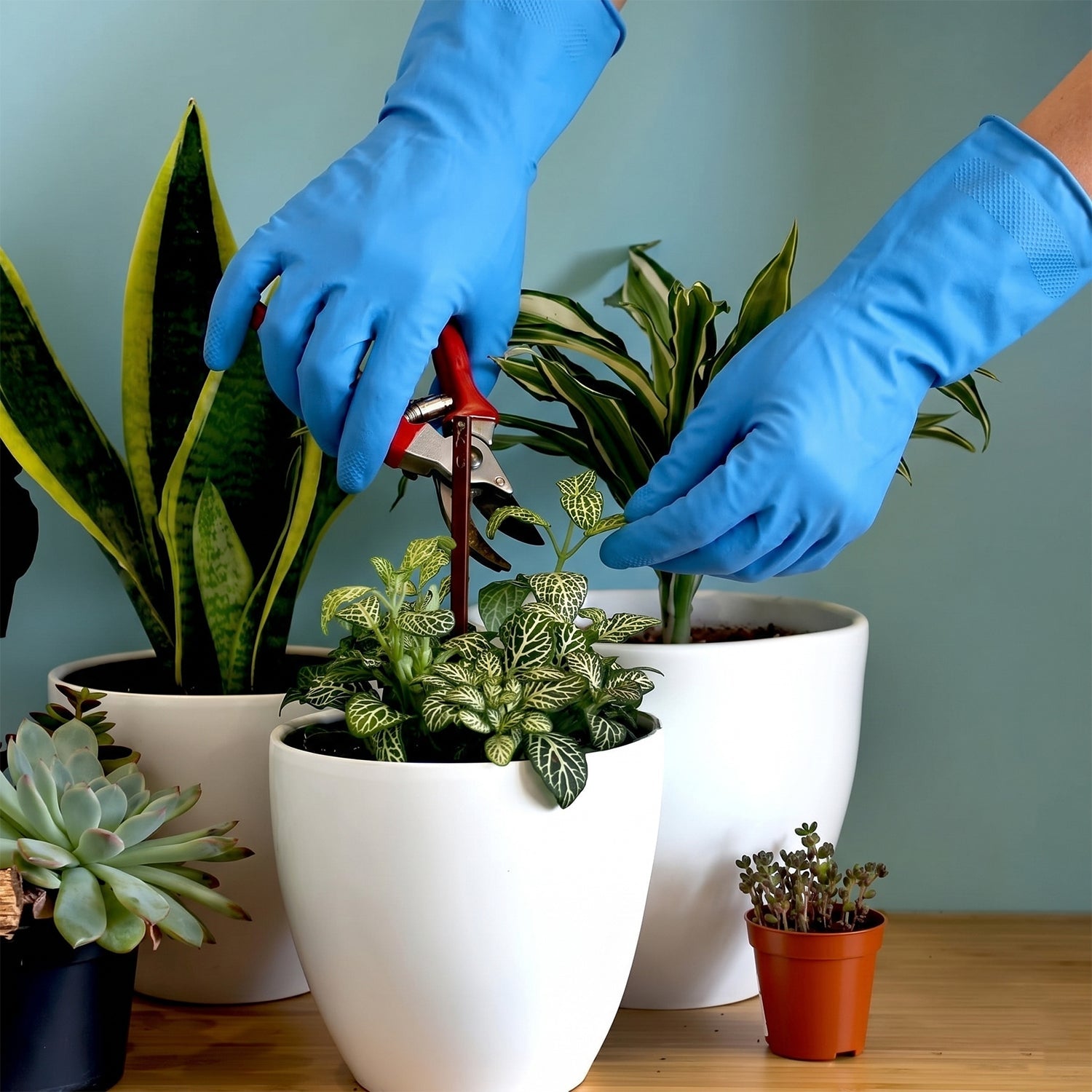 Blue waterproof rubber gloves used for kitchen cleaning